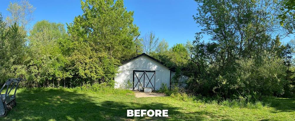 Overgrown brush before BrushPro clearing