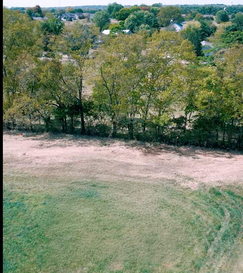 Open mowed field after BrushPro brush hogging