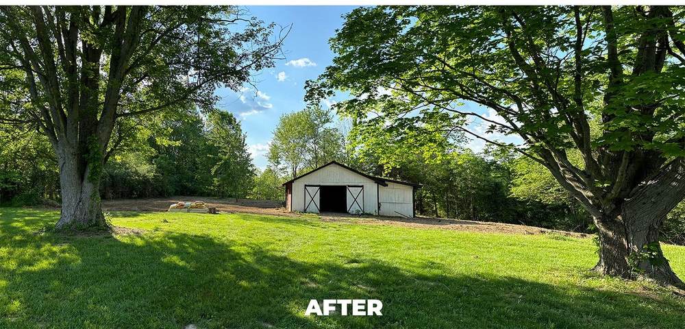 Open property after BrushPro forestry mulching